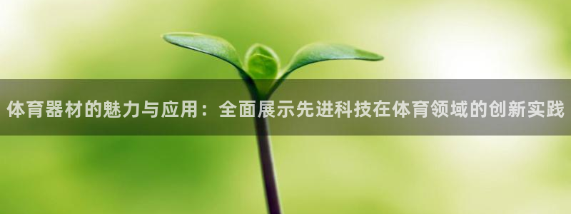 尊龙d88现金旧版本