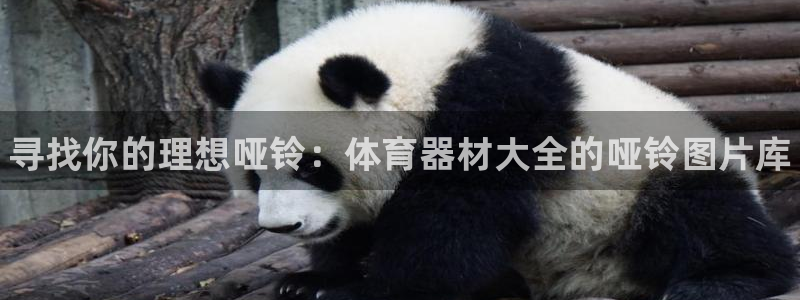 尊龙一生也走不出自己的童年：寻找你的理想哑铃：体育器