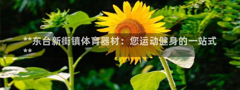 尊龙官方网站：**东台新街镇体育器材：您运动健身的一