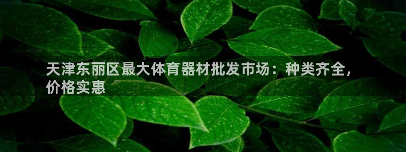 尊龙ag旗舰厅官网登录：天津东丽区最大体育器材批发市场：种类