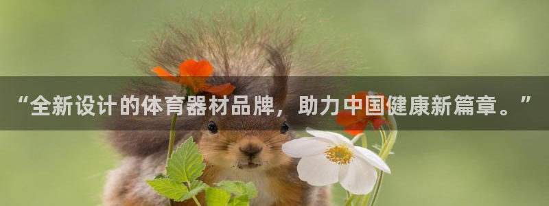 尊龙ag旗舰厅下载