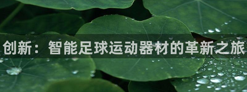 尊龙网站下分慢：创新：智能足球运动器材的革新之旅