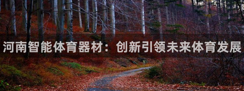 kb88凯时唯一官网注册：河南智能体育器材：创新引领