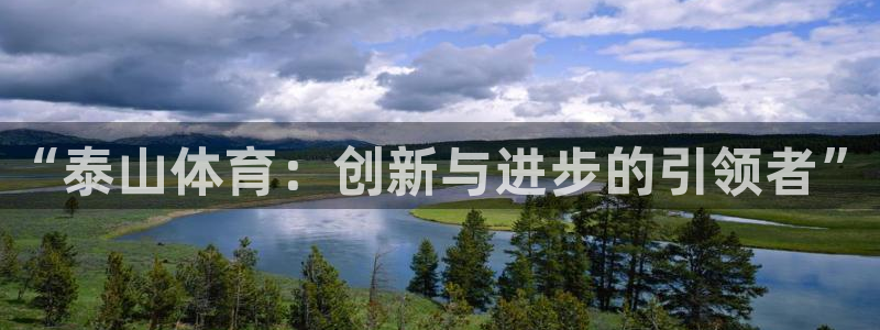 凯时国际平台有人赢吗：“泰山体育：创新与进步的引领者