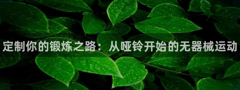 凯时效果怎么样：定制你的锻炼之路：从哑铃开始的无器械运动